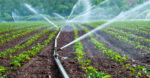 Irrigation PIC