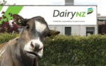 DairyNZ